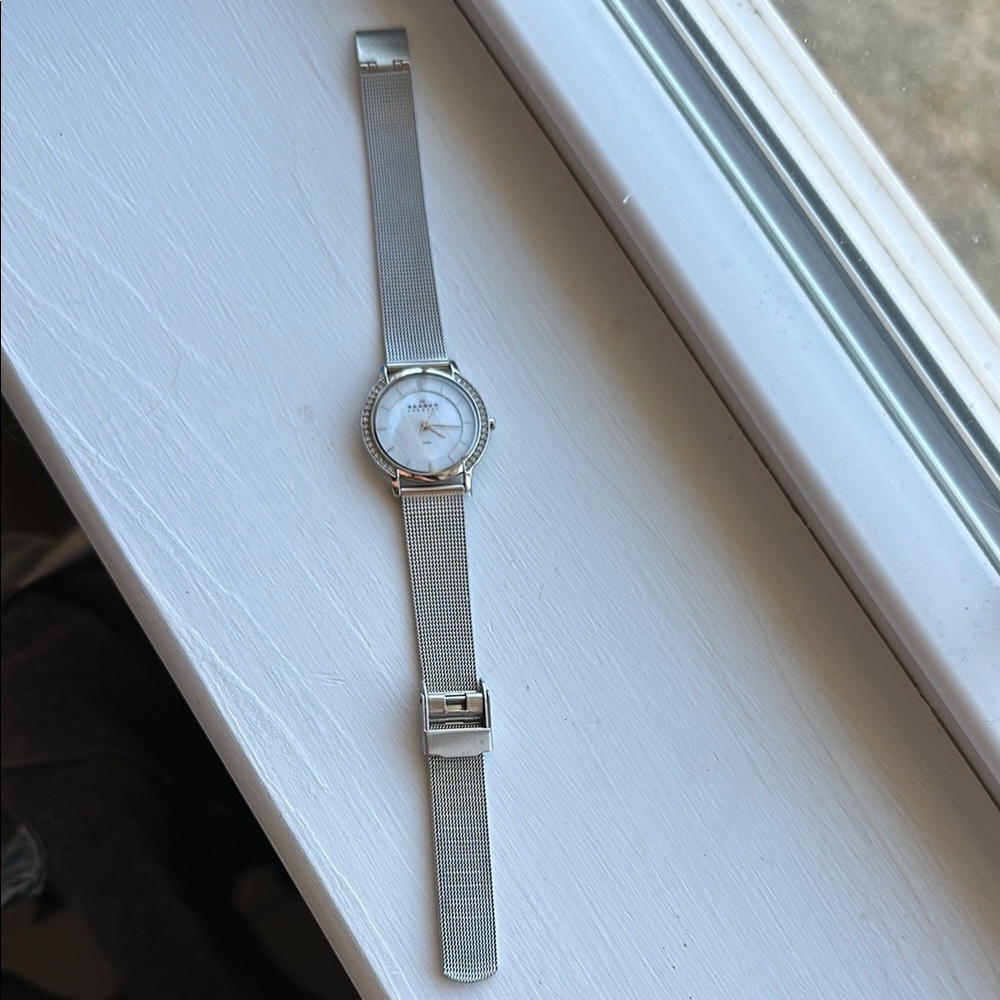 Skagen Silver Mesh Strap Watch